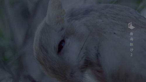 China: The Sublime Season 1 Episode 2 - Episode 2