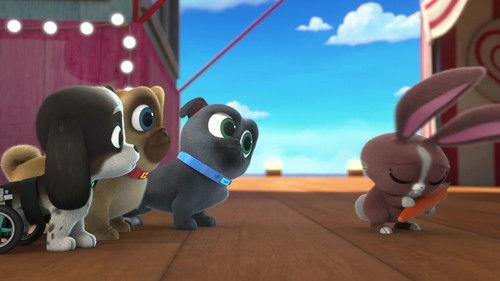 Puppy Dog Pals Season 4 Episode 10 - Musical Mission Mishap
