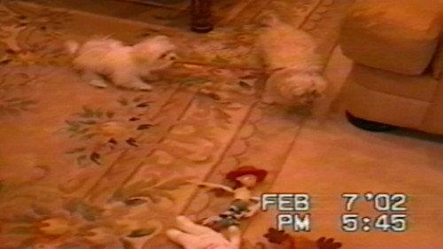 Funniest Pets & People Season 4 Episode 9 - Yummy!
