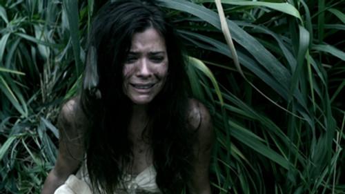 Hawaii Five-0 Season 1 Episode 11 - Palekaiko (Paradise)