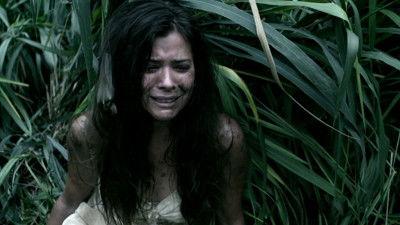 Hawaii Five-0 Season 1 Episode 11 - Palekaiko (Paradise)