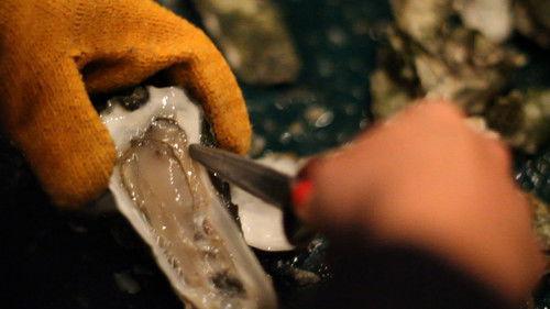 Original Fare Season 1 Episode 15 - Oyster Roast in Charleston