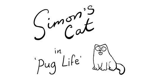 Simon's Cat Season 8 Episode 5 - Pug Life