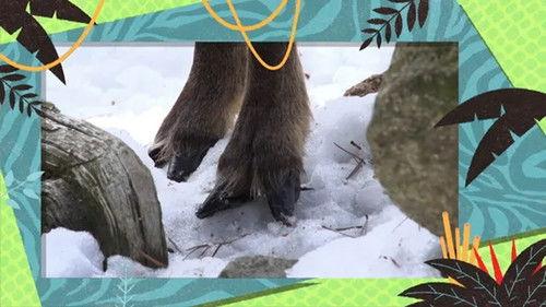 Kukurota Season 3 Episode 11 - Episode 11