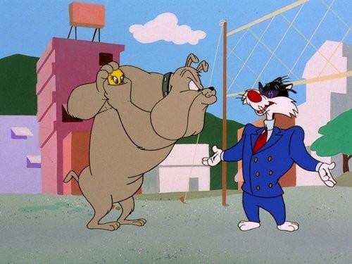 The Sylvester & Tweety Mysteries Season 2 Episode 3 - Catch as Catch Cannes