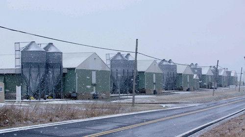 Frontline Season 36 Episode 12 - Trafficked in America