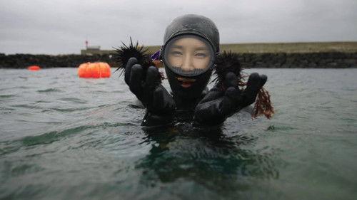 3 on Tour Season 18 Episode 14 - South Korea, Jeju