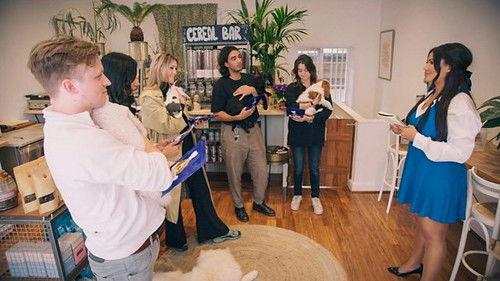 The Apprentice Season 17 Episode 10 - Dog Food