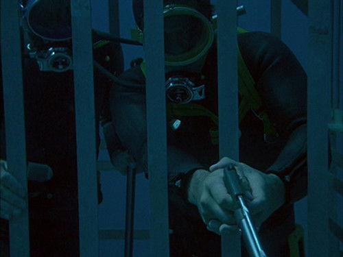 Flipper Season 1 Episode 18 - The Day of the Shark