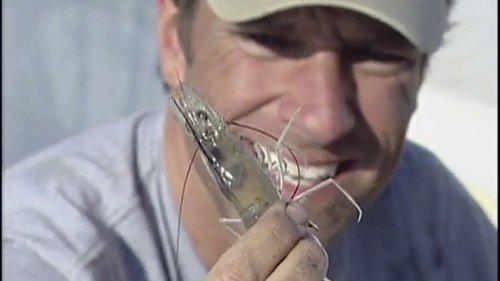 Dirty Jobs Season 1 Episode 10 - Shrimper