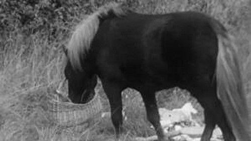 Poly Season 2 Episode 2 - Episode 2