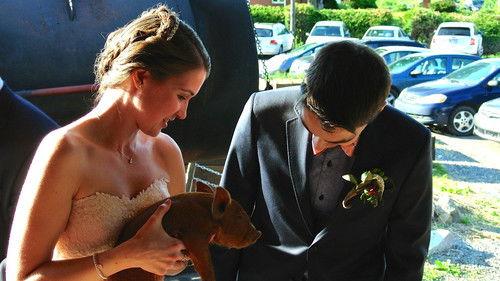 A Chef at the Shack Season 4 Episode 4 - Episode 4