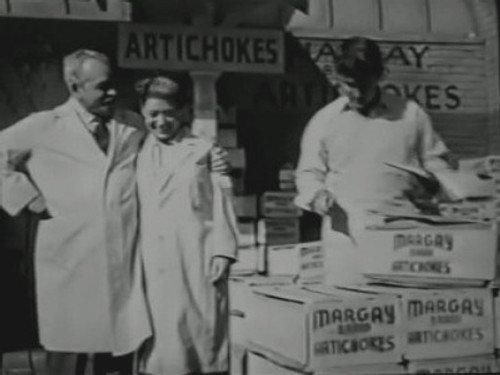 The Untouchables Season 1 Episode 8 - The Artichoke King