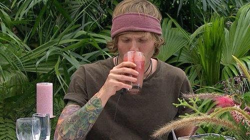 I'm a Celebrity...Get Me Out of Here! Season 11 Episode 19 - The Final Party