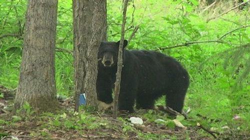 Alaska State Troopers Season 5 Episode 12 - Shotgun Standoff