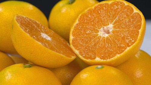 Trails to Oishii Tokyo Season 1 Episode 16 - MIKAN