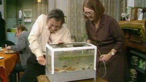 On the Buses Season 5 Episode 4 - The Inspector's Pets