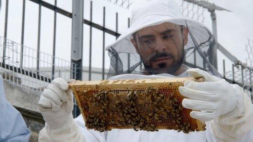 Down to Earth with Zac Efron Season 1 Episode 7 - London