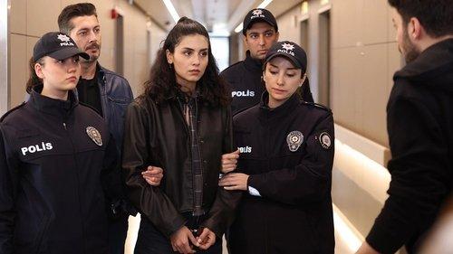 Wild Heart Season 2 Episode 13 - Episode 49