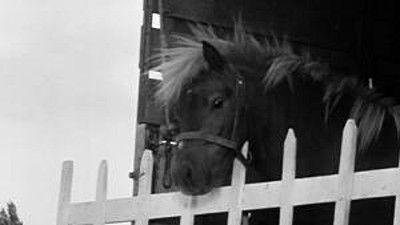 Poly Season 1 Episode 2 - Episode 2