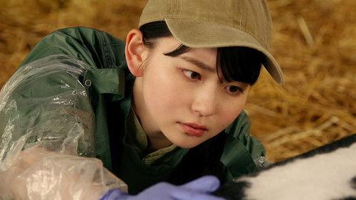 In Lilac Bloom, The Path to a Veterinarian Season 1 Episode 3 - Episode 3