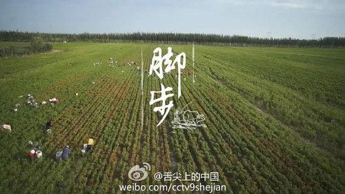 A Bite of China Season 2 Episode 2 - Footsteps