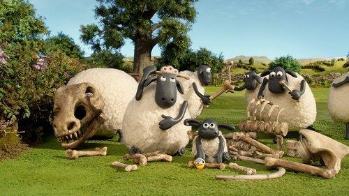 Shaun the Sheep Season 3 Episode 13 - Fossils