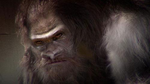 Ancient Aliens Season 4 Episode 7 - Aliens and Bigfoot