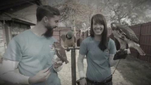 Tiny House Nation Season 2 Episode 6 - 192 Sq. Ft. Bird House