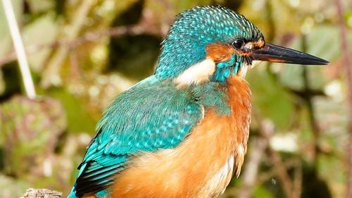 Animal Park Season 25 Episode 7 - Episode 7