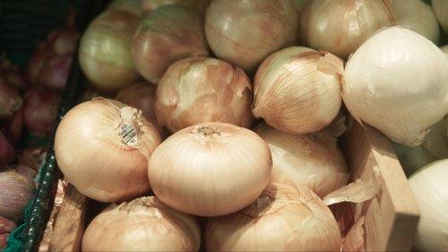 undefined Season 4 Episode 4 - Worms