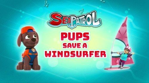 PAW Patrol Season 8 Episode 4 - Sea Patrol: Pups Save a Windsurfer