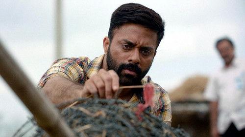 Background image for Coverage