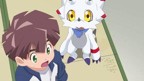 Digimon Ghost Game Season 1 Episode 39 - Contagion Island