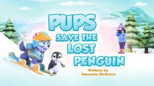 PAW Patrol Season 11 Episode 21 - Pups Save the Lost Penguin