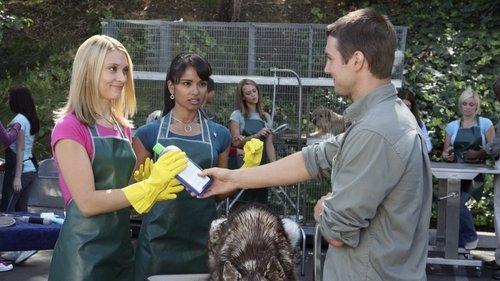 Greek Season 1 Episode 13 - Highway to the Discomfort Zone