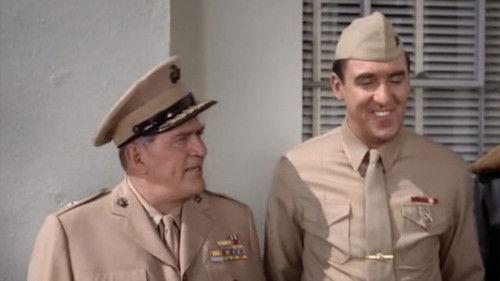 Gomer Pyle, U.S.M.C. Season 4 Episode 16 - Gomer, the Good Samaritan