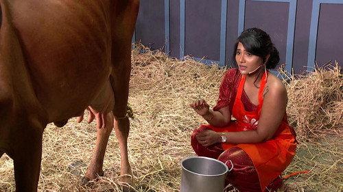 Cooku with Comali Season 5 Episode 22 - A Fun Task for the Cooks