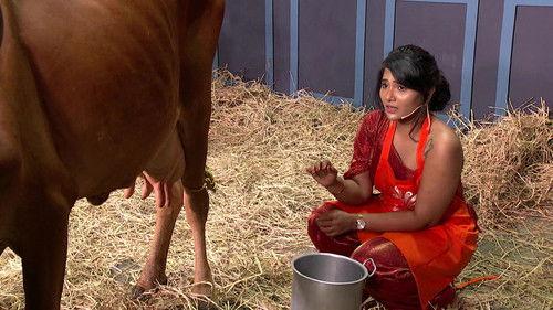 Cooku with Comali Season 5 Episode 22 - A Fun Task for the Cooks