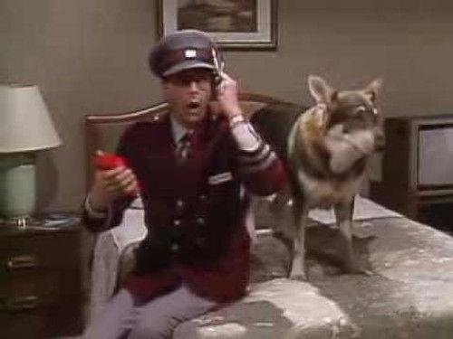 The Littlest Hobo Season 6 Episode 3 - Three Monkeys of Bah Roghar (2)