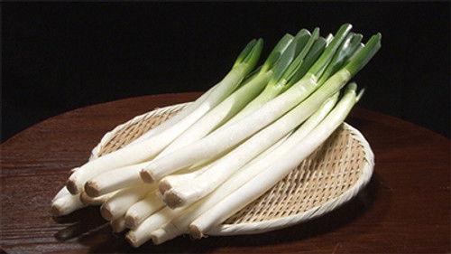 Trails to Tsukiji Season 2 Episode 7 - Negi