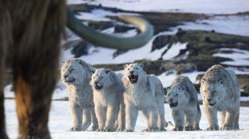 Life on Our Planet Season 1 Episode 8 - Chapter 8: Age of Ice and Fire