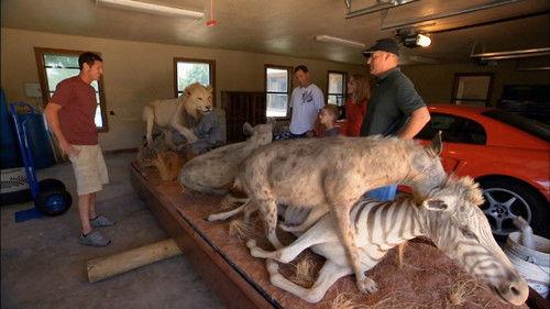 Shipping Wars Season 3 Episode 2 - Safari So Good