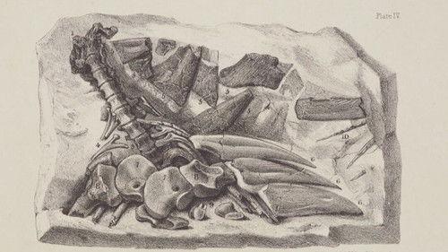 Background image for Episode 2