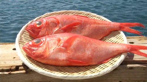 Background image for Kinmedai