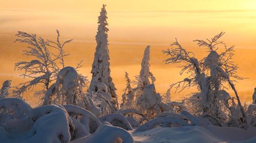 Frozen Planet Season 1 Episode 1 - To the Ends of the Earth