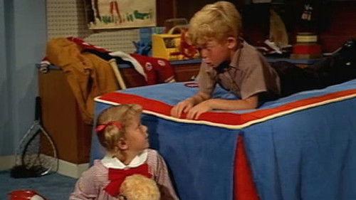 Family Affair Season 1 Episode 12 - Love Me, Love Me Not