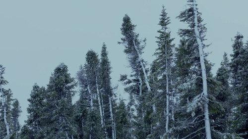 Alone: Frozen Season 1 Episode 8 - The Bitter End