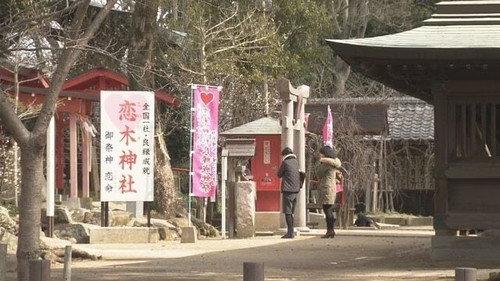 Document 72 Hours Season 7 Episode 8 - Valentine's Day at the Shrine