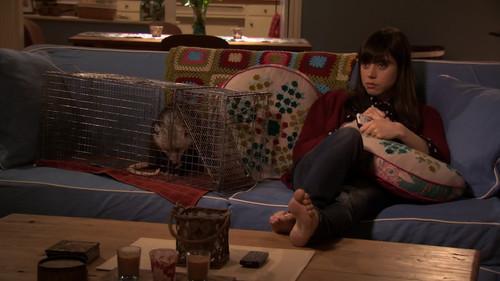 undefined Season 2 Episode 18 - The Possum